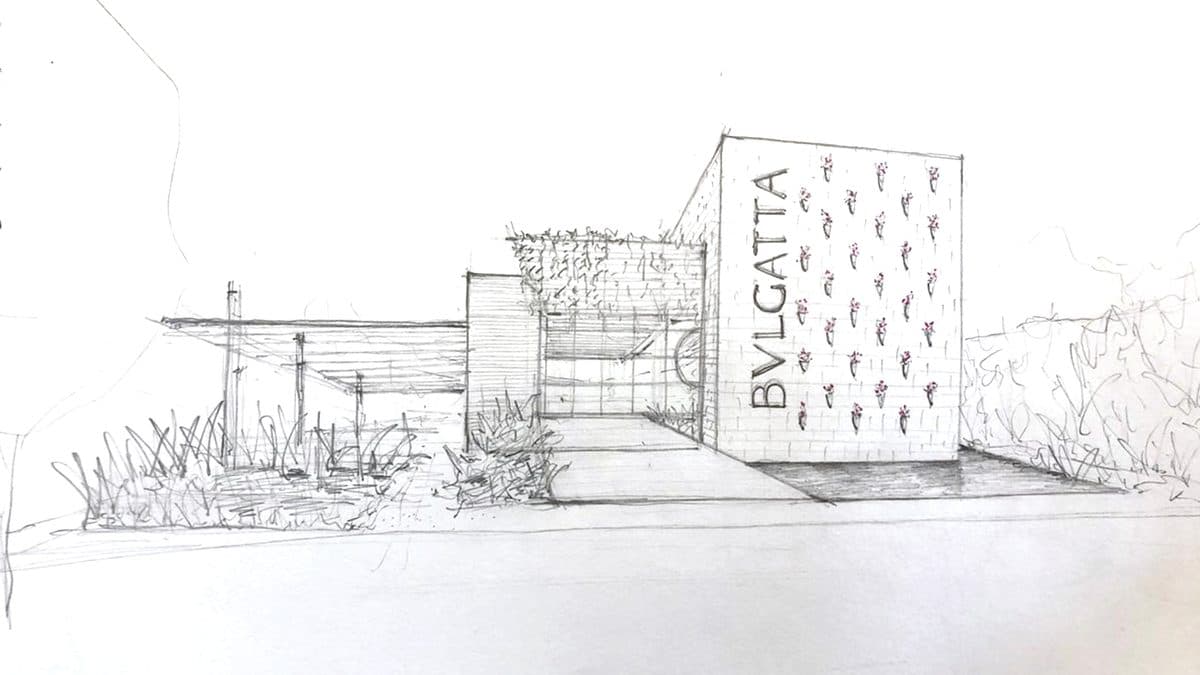 Bvlgatta